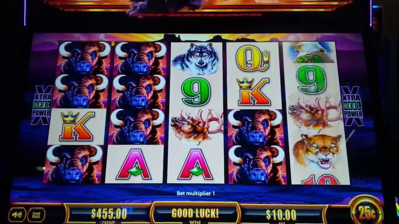Buffalo's Wealth Win Spins